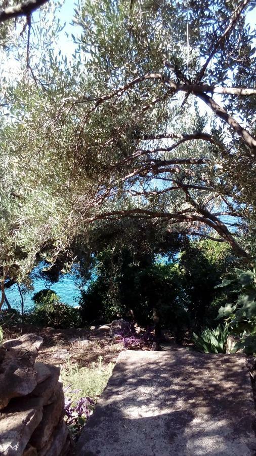 Holiday Home Prižba Dış mekan fotoğraf